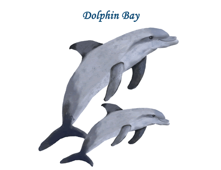 >Dolphin Bay - Bahia de Delfines